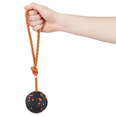 Non stop Dog ball on rope
